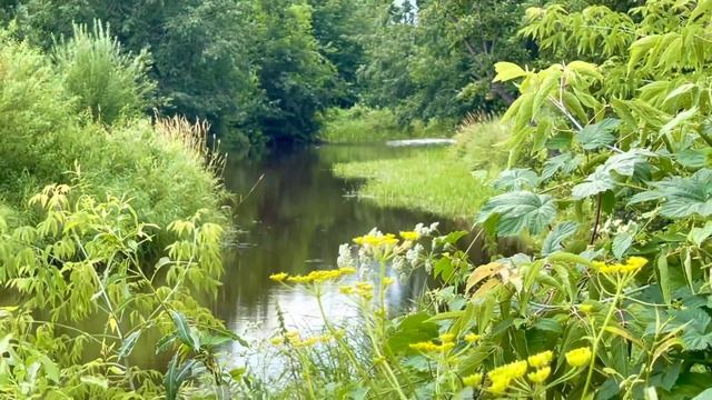 Природа , облака отражаются в реке?????