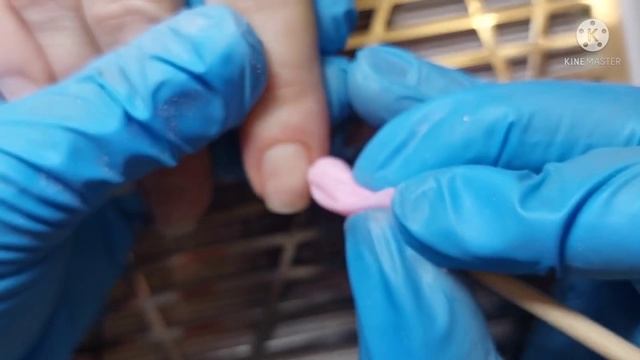 ОЧЕНЬ БОЛЯТ НОГТИ ? НОГТЯМ 50 ДНЕЙ. ПОСЛЕДСТВИЯ ПЕРЕНОШЕНОГО ПОКРЫТИЯ. РАБОТА ОТ ДРУГОГО МАСТЕРА смотреть онлайн