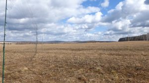 Ловля Жаворонка