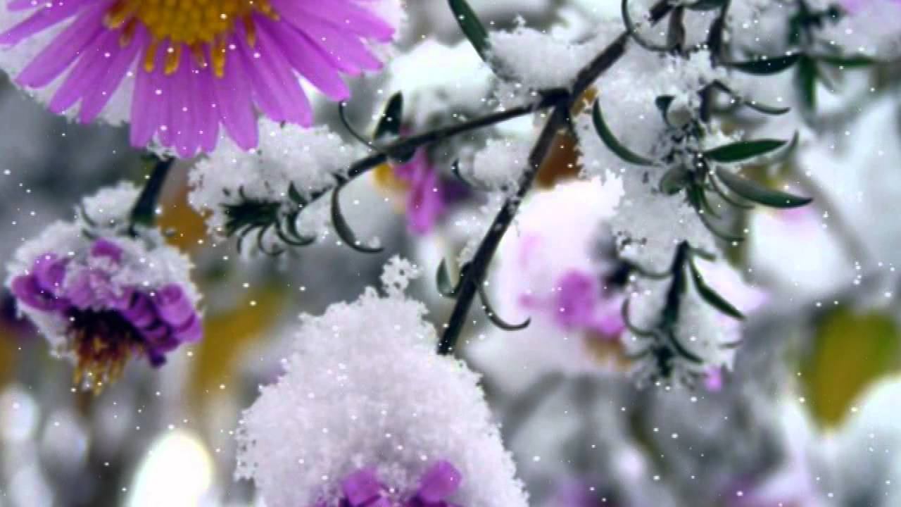 Александр ГамИ. Замело смотреть онлайн