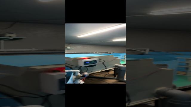 Мое УЗВ гараж 2