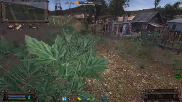 S.T.A.L.K.E.R. ОП-2.2 Пантера, Болота - Старая Деревня. Тайник Анны в Красном Лесу. смотреть онлайн