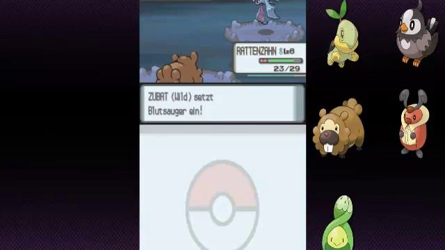 Lets Play Pokemon Perl Nuzlocke Challange Part 05 Voll auf die Nase смотреть онлайн