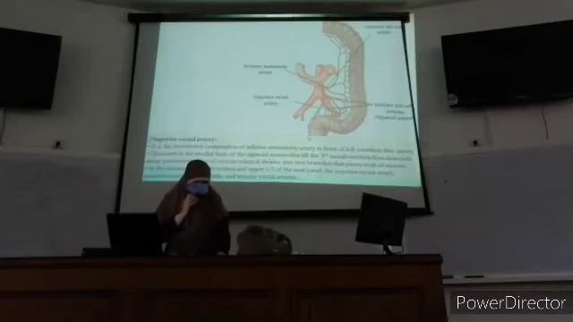 13- Blood supply ( rest of GIT blood supply ) Dr. Basma Anatomy GIT смотреть онлайн