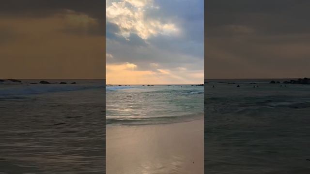 Звуки индийского океана. Шри-Ланка #srilanka #2024 #ocean смотреть онлайн