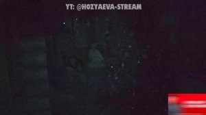 Актеры ХОРРОР КВЕСТОВ vs ХАЗЯЕВА! ПРЯТКИ на СТРИМХАТЕ в ТЕМНОТЕ (Эксайл, Парадеевич, Кореш, Горилла