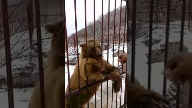 Хочу себе тонкого смотреть онлайн