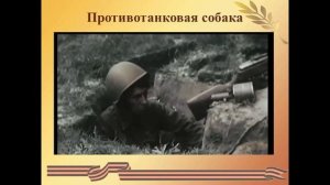 _Подвиги собак во время Великой Отечественной войны 1941-1945 гг._ 6+.mp4