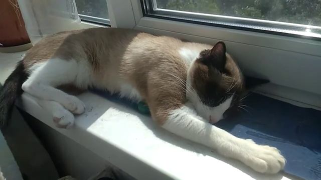 маркиза смотреть онлайн