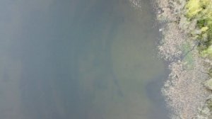 Озеро Белое часть 2. Лужский р-н ЛО.