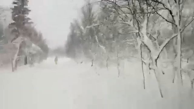 Посмотрите на зиму! Белышев из засыпанного снегом г. Апатиты смотреть онлайн