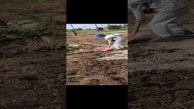 1000023393.mp4 смотреть онлайн
