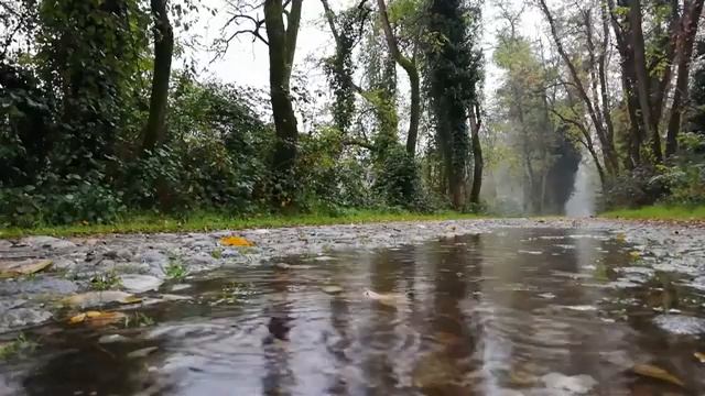 Relaxing Music For Sleep, Meditation And Stress Management