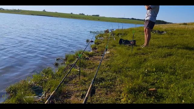 Бешеный клев сазана в начале лета!!! Сазанья рыбалка в Татарстане. День первый. смотреть онлайн
