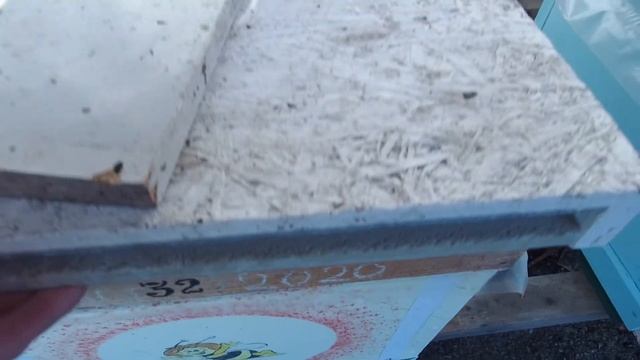 Будни пчеловода  Пришла зима, как же пчёлы