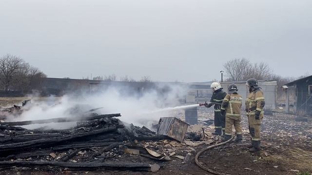 В Мордовии из-за пала сухой травы сгорело 11 домов