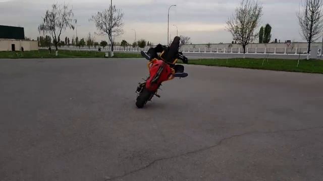 Tashkent stuntriding смотреть онлайн