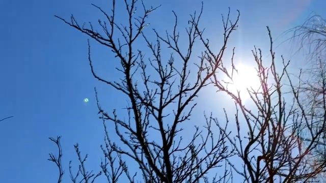 Разбить тарелку - Толкования приметы, в каких случаях разбитая тарелка не сулит счастье. смотреть онлайн