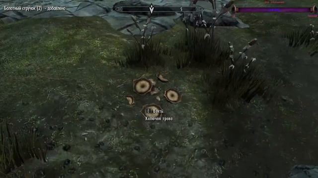 Проходим The Elder Scrolls V: Skyrim на стриме