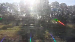 Вид из окна поезда по маршруту  Москва   Ярославль