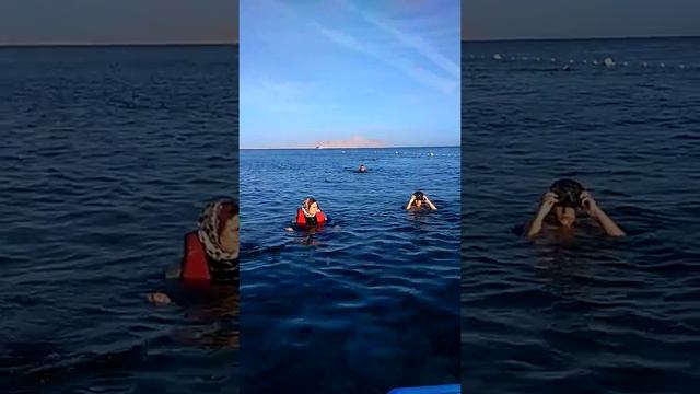 Красное море. Вид с пантона смотреть онлайн