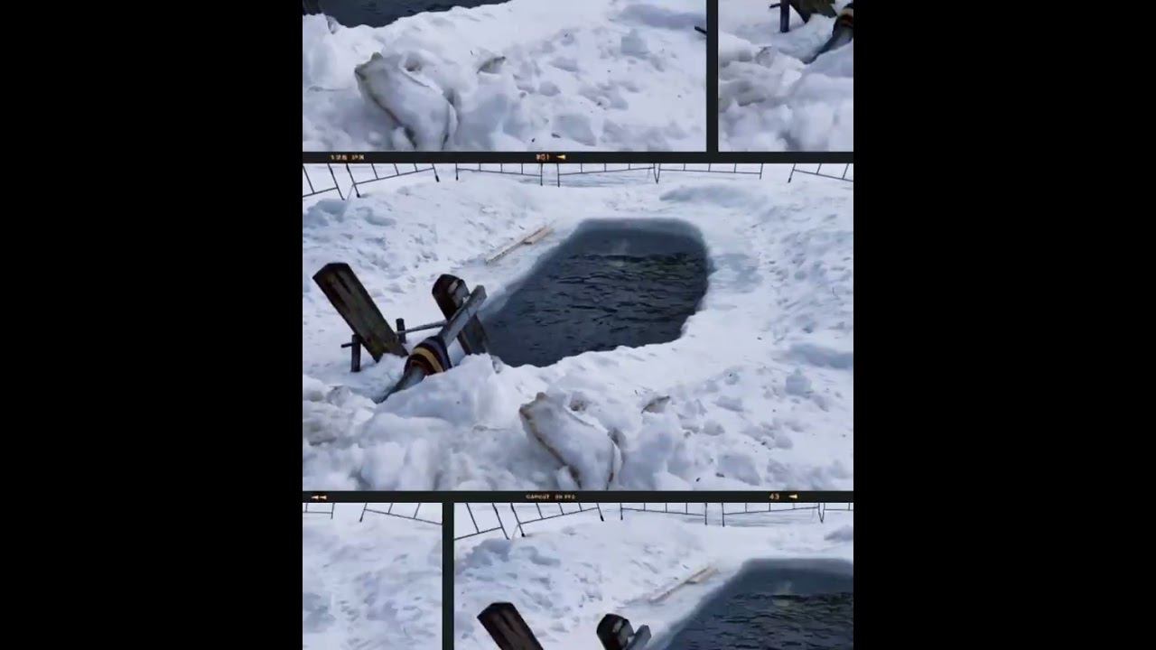 #зож #закаливание #моржевание #купаниевпроруби смотреть онлайн