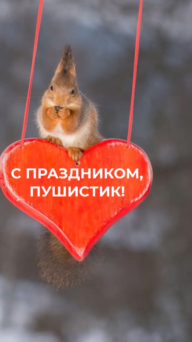 17 ноября 2023 Международный день белки