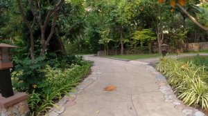 Centara Grand Mirage Beach Pattaya (06-05-2021, всё закрыто.)