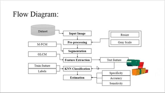 Matlab Image Processing Projects - Efficient Classification of MRI Brain Images - ClickMyProject смотреть онлайн