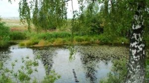 Н. Кадышева - "На горе колхоз"