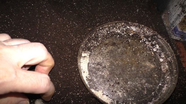 Снесла улиточка яичко смотреть онлайн