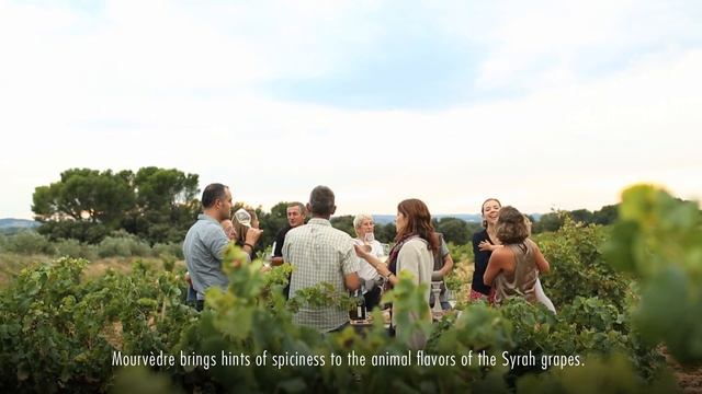 Film De L'appellation Châteauneuf-du-Pape
