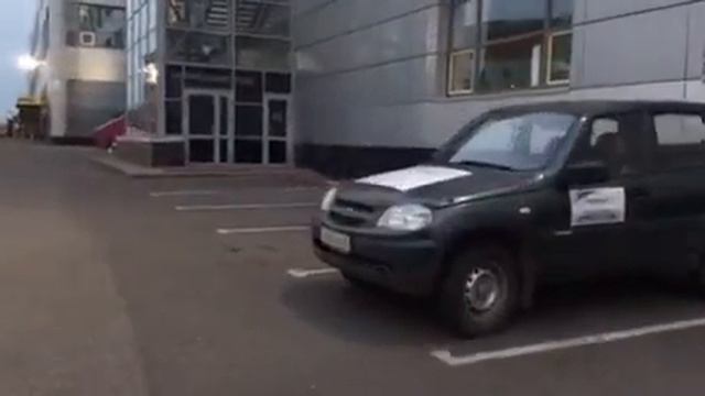 По улицам Ярославля уже бегают хорьки смотреть онлайн