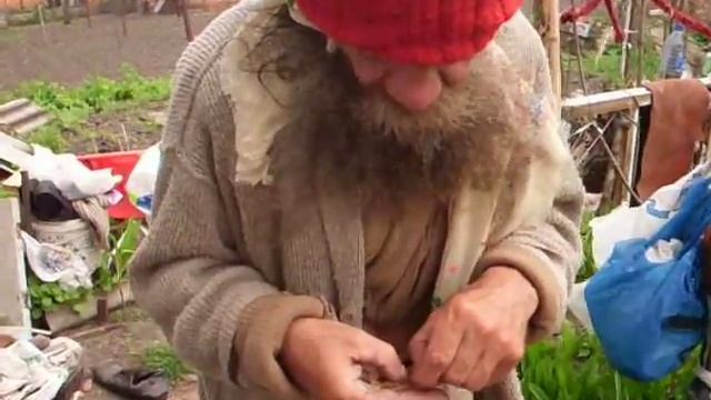 Виктор Дмитриевич (Витя Митя) художник?