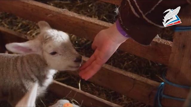 8кл Технология 15 урок смотреть онлайн