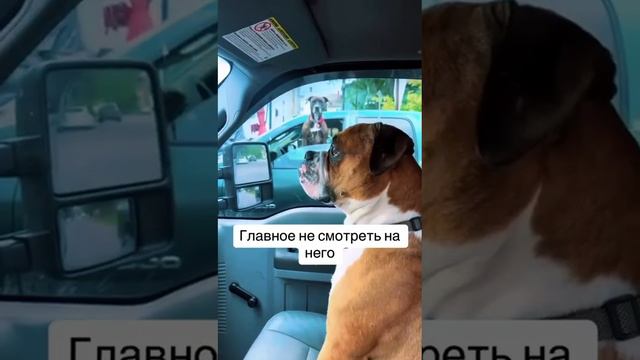 Было? смотреть онлайн
