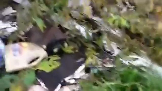 Мусор на бобре смотреть онлайн