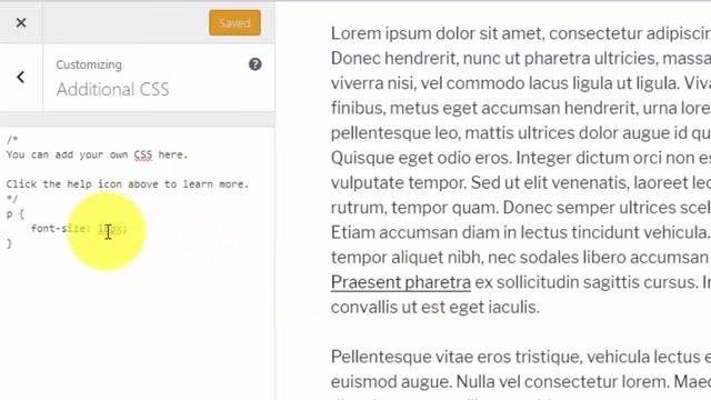 CSS Tutorial: Change Font Size Site-Wide in WordPress. Quick and Easy, Even for Beginners смотреть онлайн