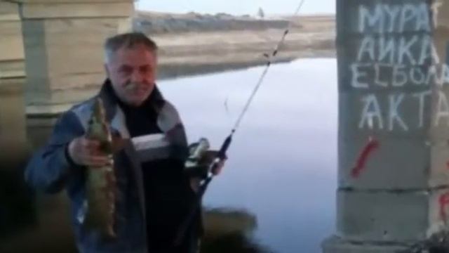 Калининградский залив. Отчёты. смотреть онлайн