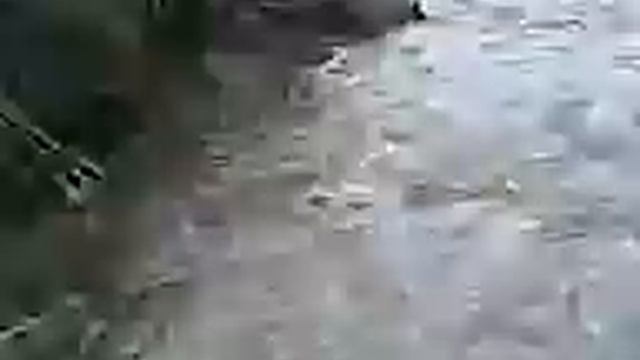 My Edited Video Вода, вода, кругом вода. Иду по ней, не зная куда ! смотреть онлайн