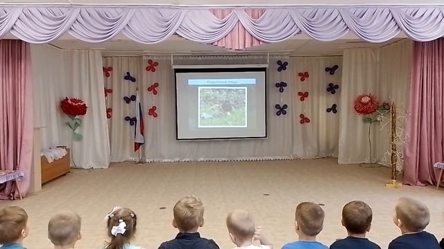 Праздник прилета птиц в детском саду смотреть онлайн