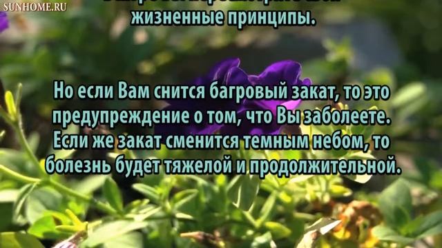 К чему снится Закат сонник, толкование сна смотреть онлайн