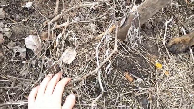 Как жить в деревне без работы до упада. смотреть онлайн