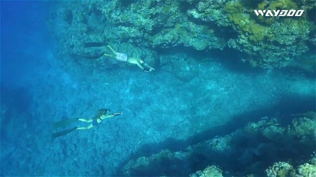 Waydoo Subnado - World's Smallest Underwater Scooter - Save $300 on Kickstarter now смотреть онлайн