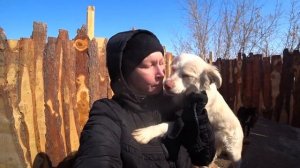 СТЕРИЛИЗАЦИЯ МАЛЬТЫ/УБОРКА ВОЛЬЕРОВ/БЫЛА В ХРАМЕ/КУПИЛИ КОШАЧИЙ КОРМ И ДР.