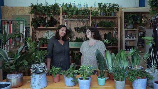 Five Plants That Don't Need Much Water смотреть онлайн