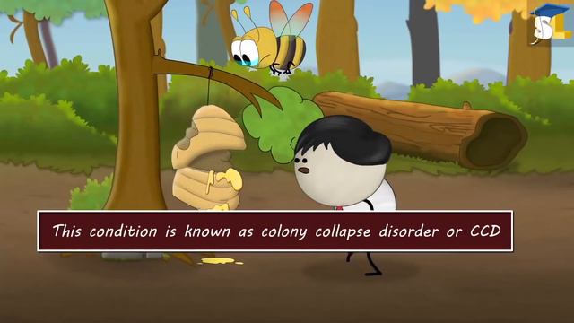 Why Do Dogs Wag Their Tails? Plus 4 More Videos.. #aumsum #kids #science #education #children