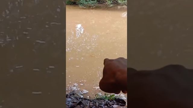 Hati hati kalau melihat Gelembung di sungai atau rawa !!! lihat apa yg ada didalamnya смотреть онлайн