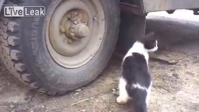 Tom and Jerry Russian edition смотреть онлайн