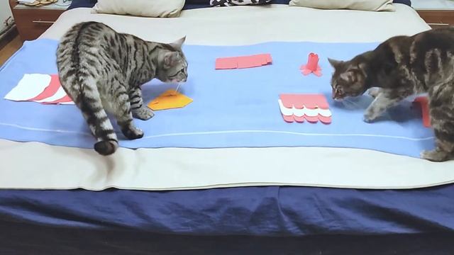 Игровой коврик для кошек. Делаем САМИ. смотреть онлайн